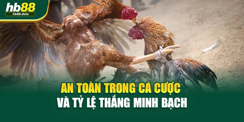 An toàn trong cá cược và tỷ lệ thắng minh bạch