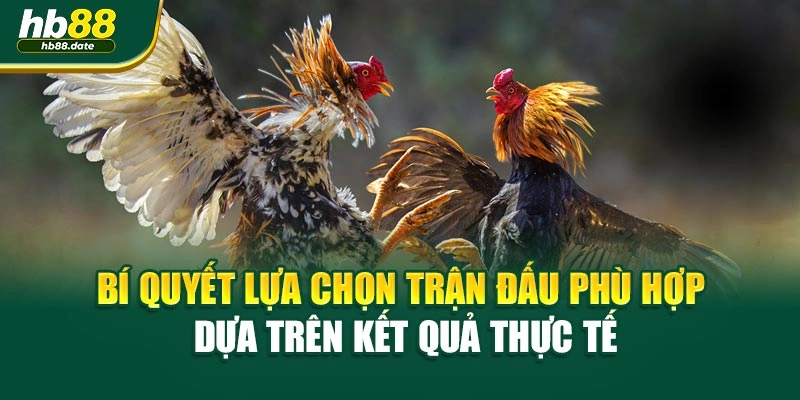 Bí quyết lựa chọn trận đấu phù hợp dựa trên kết quả thực tế