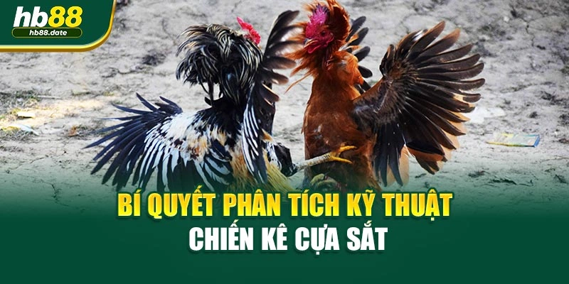 Bí quyết phân tích kỹ thuật chiến kê cựa sắt