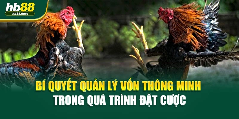 Bí quyết quản lý vốn thông minh trong quá trình đặt cược