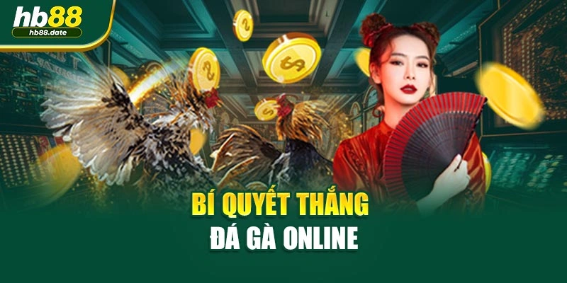 Bí quyết thắng đá gà online