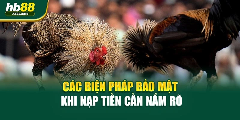 Các biện pháp bảo mật khi nạp tiền cần nắm rõ