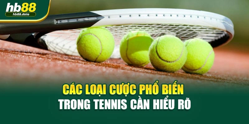 Các loại cược phổ biến trong tennis cần hiểu rõ