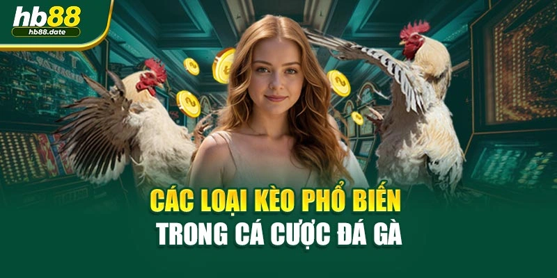 Các loại kèo phổ biến trong cá cược đá gà