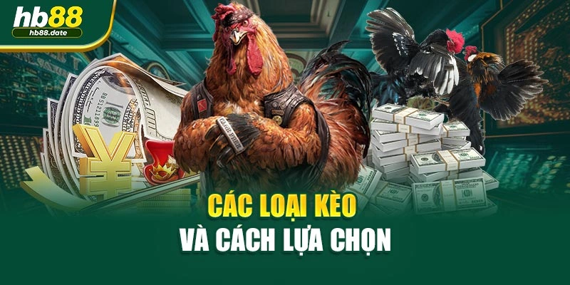 Các loại kèo và cách lựa chọn