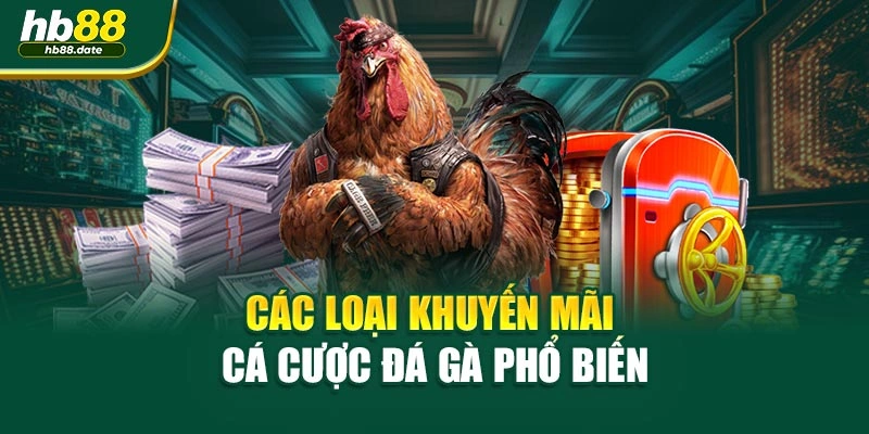 Các loại khuyến mãi cá cược đá gà phổ biến