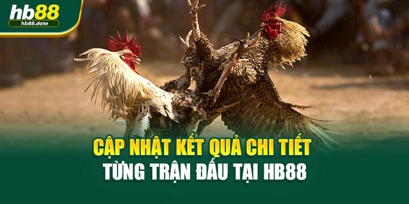 Cập nhật kết quả chi tiết từng trận đấu tại HB88