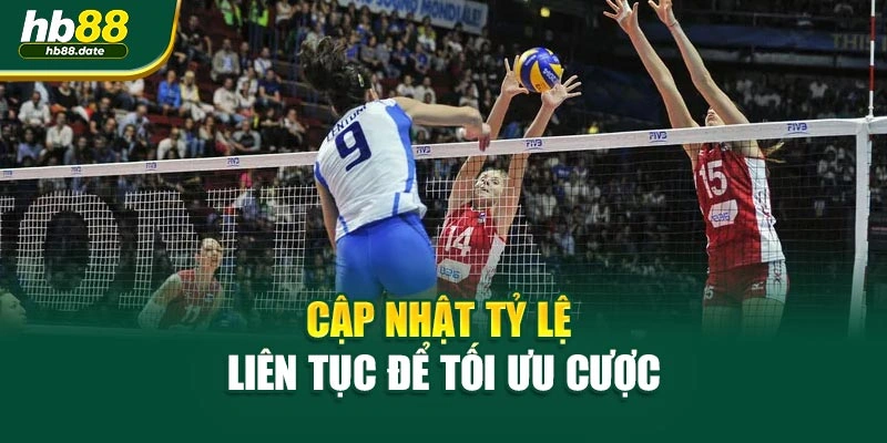 Cập nhật tỷ lệ liên tục để tối ưu cược