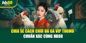 Chia Sẻ Cách Chơi Đá Gà VIP Thomo Chuẩn Xác Cùng HB88