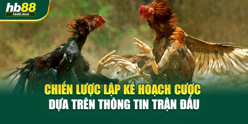 Chiến lược lập kế hoạch cược dựa trên thông tin trận đấu