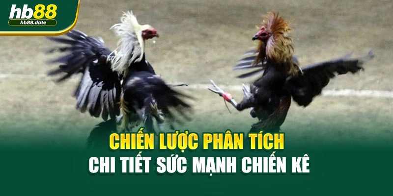 Chiến lược phân tích chi tiết sức mạnh chiến kê