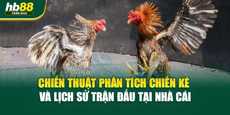 Chiến thuật phân tích chiến kê và lịch sử trận đấu tại nhà cái