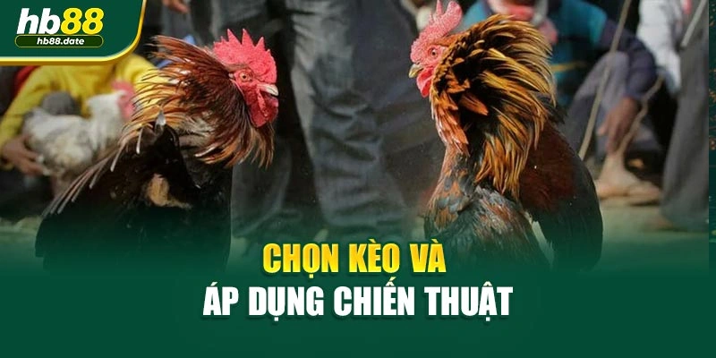 Chọn kèo và áp dụng chiến thuật