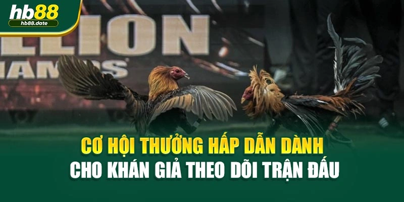 Cơ hội thưởng hấp dẫn dành cho khán giả theo dõi trận đấu