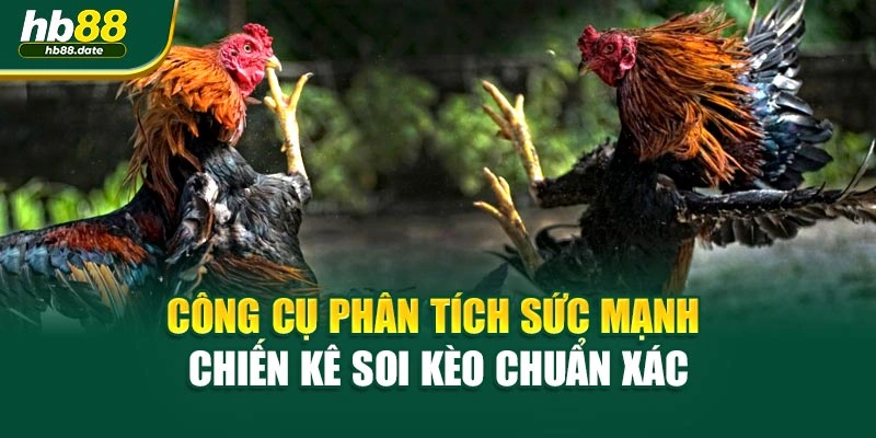 Công cụ phân tích sức mạnh chiến kê soi kèo chuẩn xác
