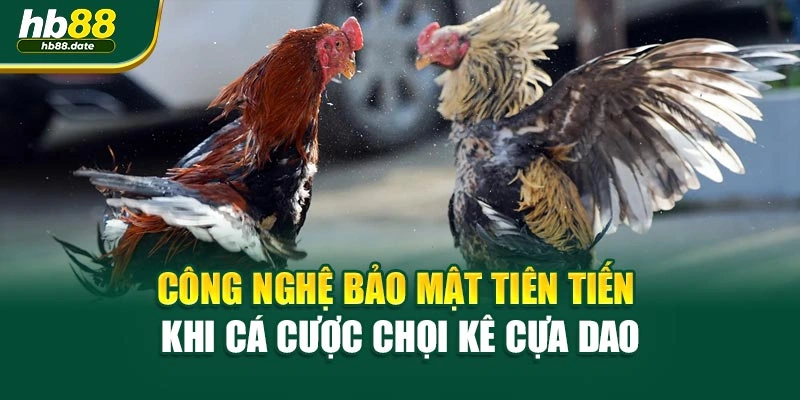 Công nghệ bảo mật tiên tiến khi cá cược chọi kê cựa dao