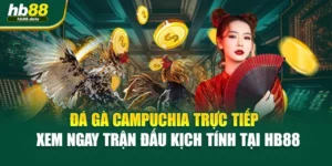 Đá Gà Campuchia Trực Tiếp – Xem Ngay Trận Đấu Kịch Tính Tại HB88