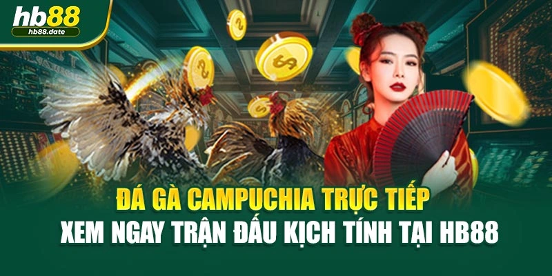 Đá Gà Campuchia Trực Tiếp – Xem Ngay Trận Đấu Kịch Tính Tại HB88