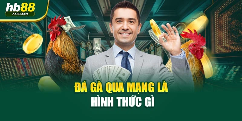 Đá gà qua mạng là hình thức gì