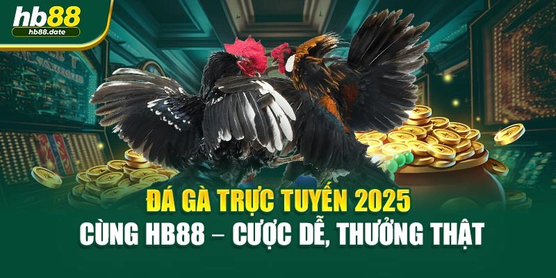 Đá Gà Trực Tuyến 2025 Cùng HB88 – Cược Dễ, Thưởng Thật