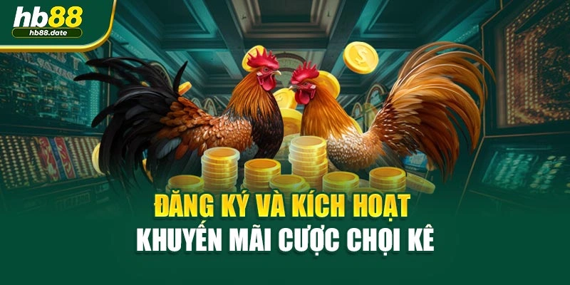 Đăng ký và kích hoạt khuyến mãi cược chọi kê