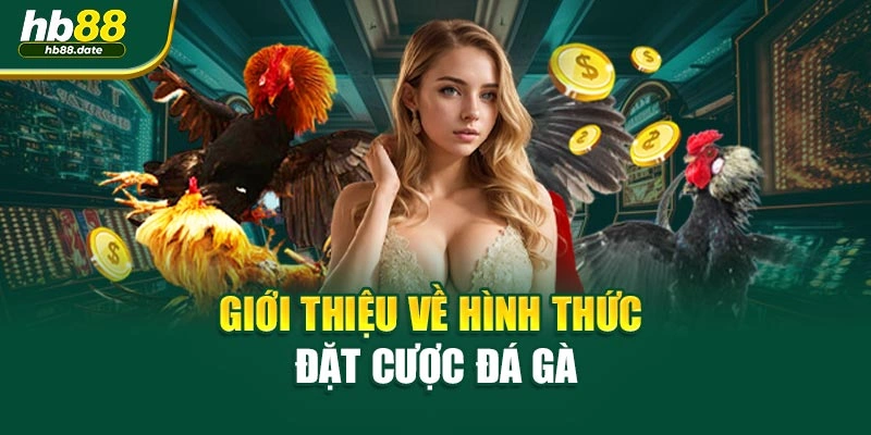 Giới thiệu về hình thức đặt cược đá gà