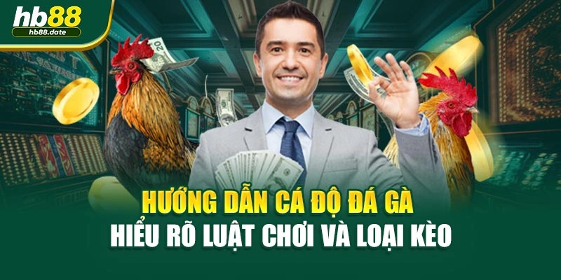 Hướng dẫn cá độ đá gà hiểu rõ luật chơi và loại kèo