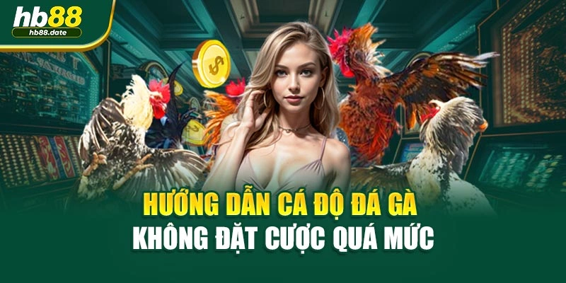 Hướng dẫn cá độ đá gà không đặt cược quá mức