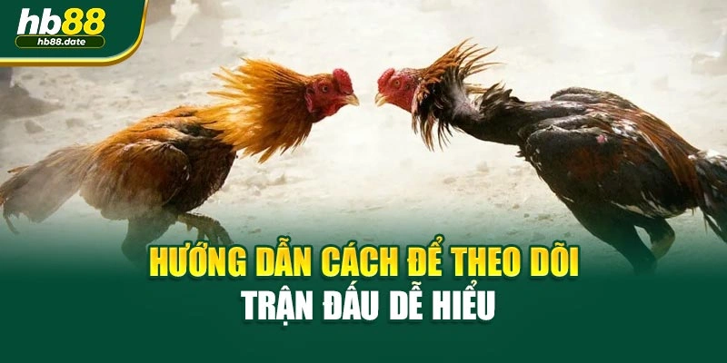 Hướng dẫn cách để theo dõi trận đấu dễ hiểu