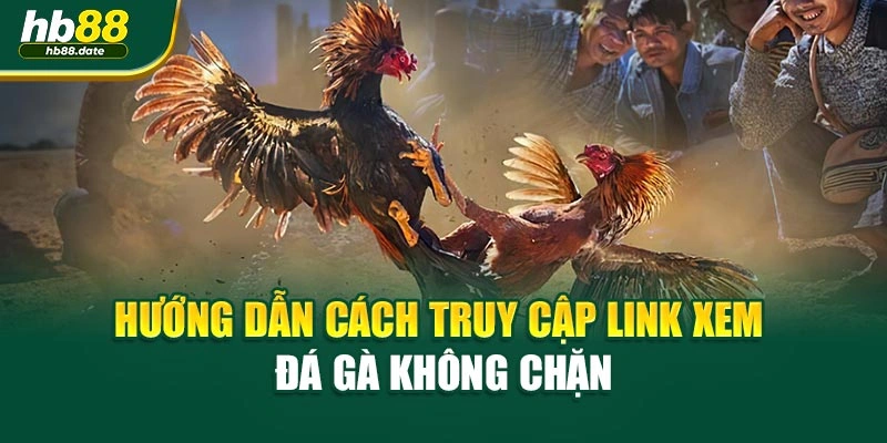 Hướng dẫn cách truy cập link xem đá gà không chặn