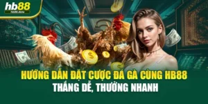 Hướng Dẫn Đặt Cược Đá Gà Cùng HB88 – Thắng Dễ, Thưởng Nhanh