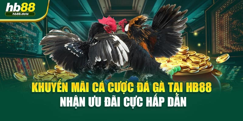 Khuyến Mãi Cá Cược Đá Gà Tại HB88 – Nhận Ưu Đãi Cực Hấp Dẫn
