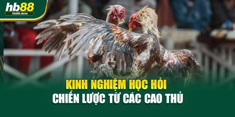 Kinh nghiệm học hỏi chiến lược từ các cao thủ