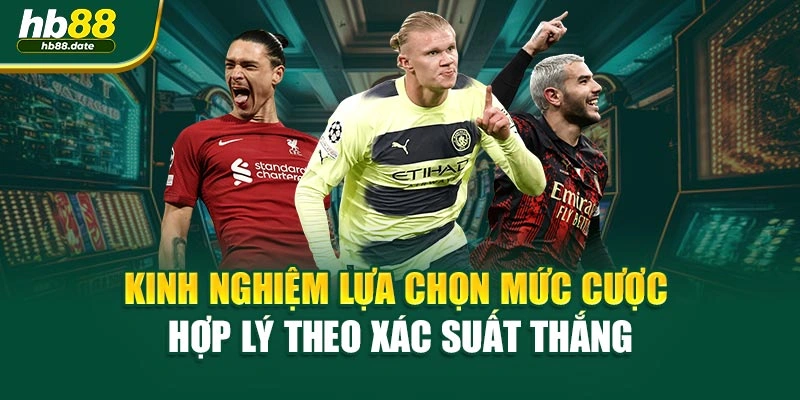 Kinh nghiệm lựa chọn mức cược hợp lý theo xác suất thắng