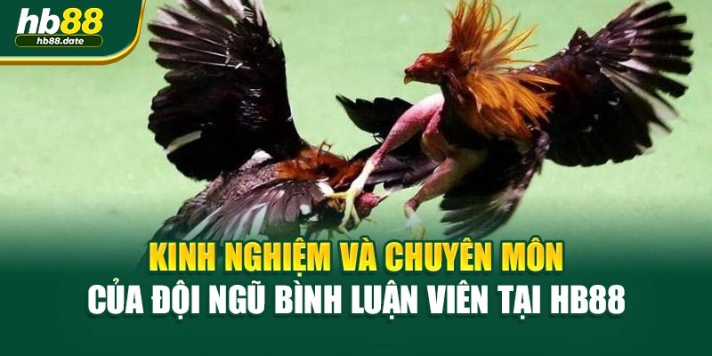 Kinh nghiệm và chuyên môn của đội ngũ bình luận viên tại HB88