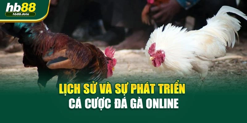 Lịch sử và sự phát triển cá cược đá gà online