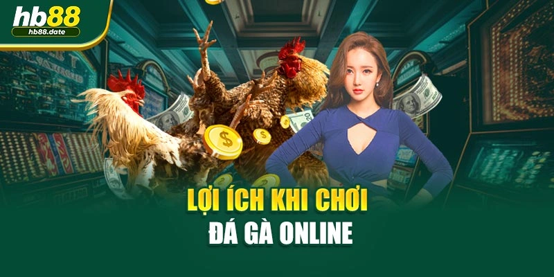 Lợi ích khi chơi đá gà online