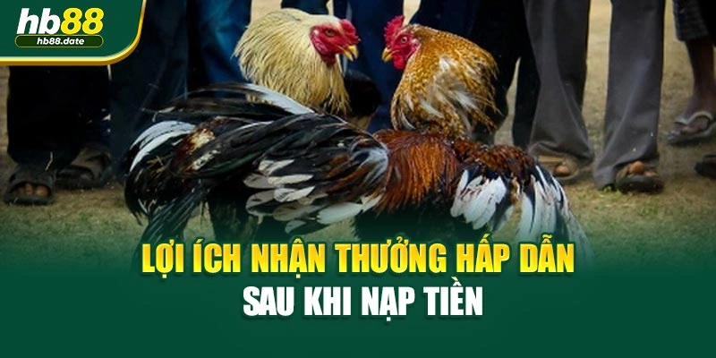 Lợi ích nhận thưởng hấp dẫn sau khi nạp tiền
