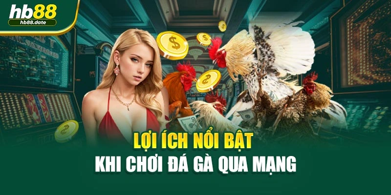 Lợi ích nổi bật khi chơi đá gà qua mạng