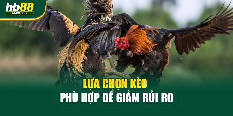 Lựa chọn kèo phù hợp để giảm rủi ro