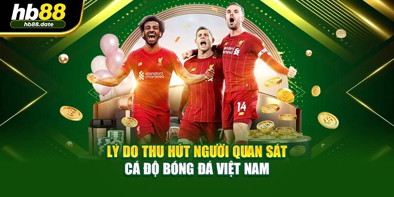 Lý do thu hút người quan sát cá độ bóng đá Việt Nam