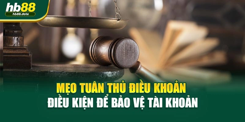 Mẹo tuân thủ điều khoản điều kiện để bảo vệ tài khoản