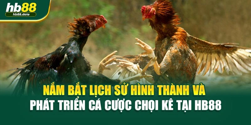 Nắm bắt lịch sử hình thành và phát triển cá cược chọi kê tại HB88
