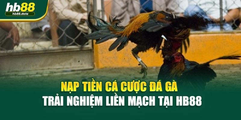 Nạp Tiền Cá Cược Đá Gà – Trải Nghiệm Liền Mạch Tại HB88