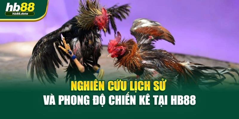 Nghiên cứu lịch sử và phong độ chiến kê tại HB88