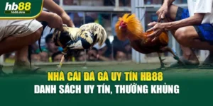 Nhà Cái Đá Gà Uy Tín HB88 – Danh Sách Uy Tín, Thưởng Khủng