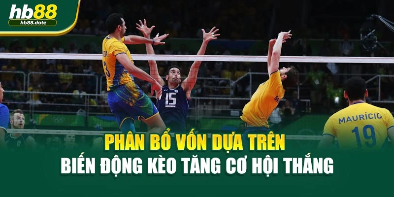 Phân bổ vốn dựa trên biến động kèo tăng cơ hội thắng