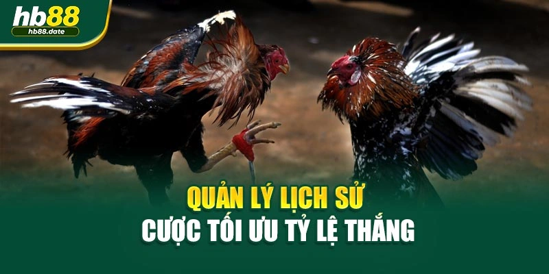 Quản lý lịch sử cược tối ưu tỷ lệ thắng