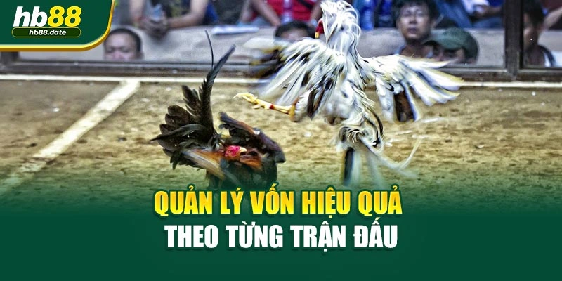 Quản lý vốn hiệu quả theo từng trận đấu