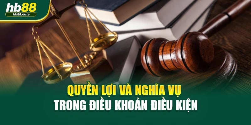 Quyền lợi và nghĩa vụ trong điều khoản điều kiện